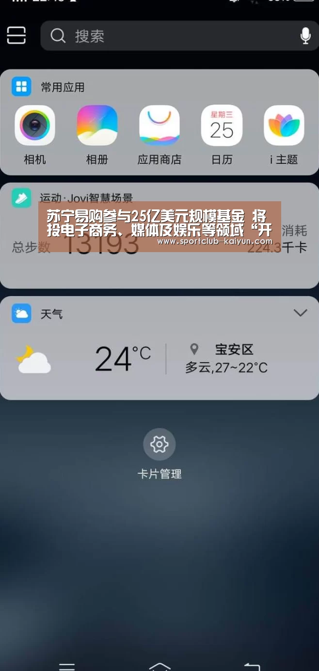 苏宁易购参与25亿美元规模基金 将投电子商务、媒体及娱乐等领